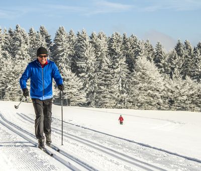 Ein Langläufer auf eine verschneiten Loipe, im Hintergrund Wald